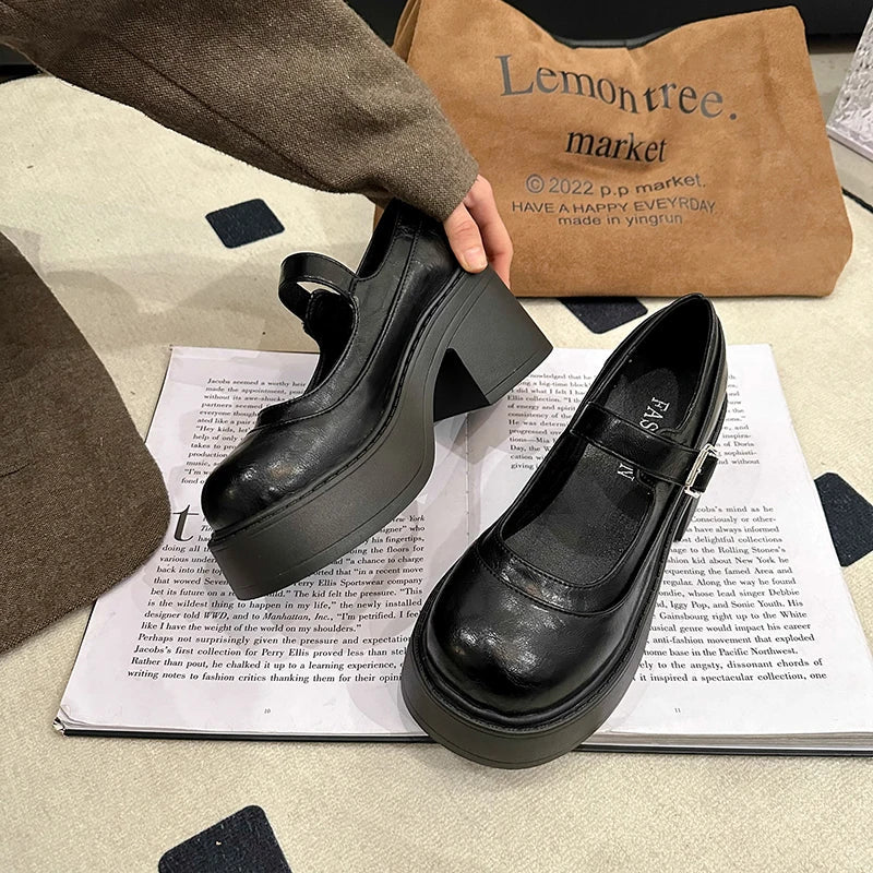 Vintage Platform Thick Bottom Mary Jane Shoes Shallow Round Toe Shoes Elegant Party Leather Shoes