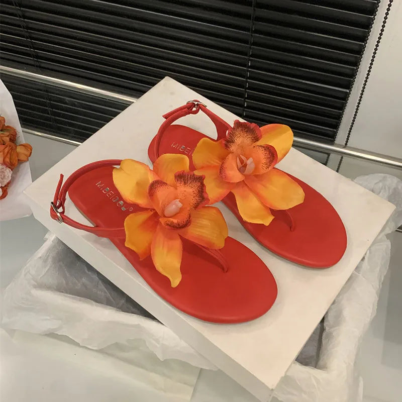 Flats Sandals Shoes