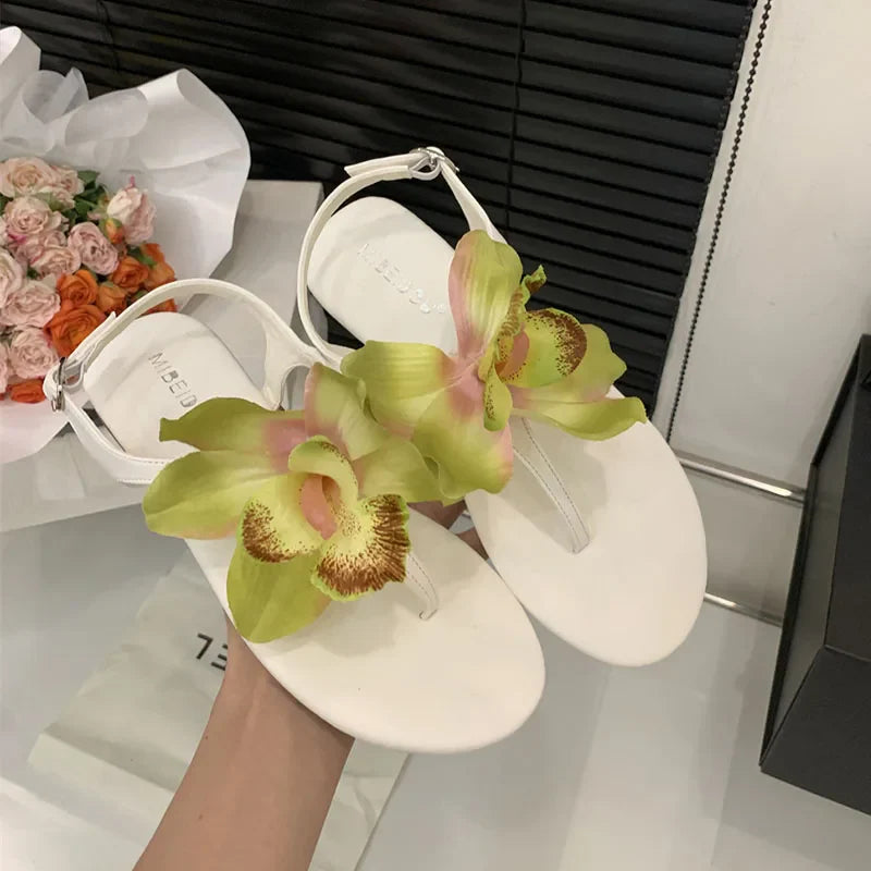 Flats Sandals Shoes