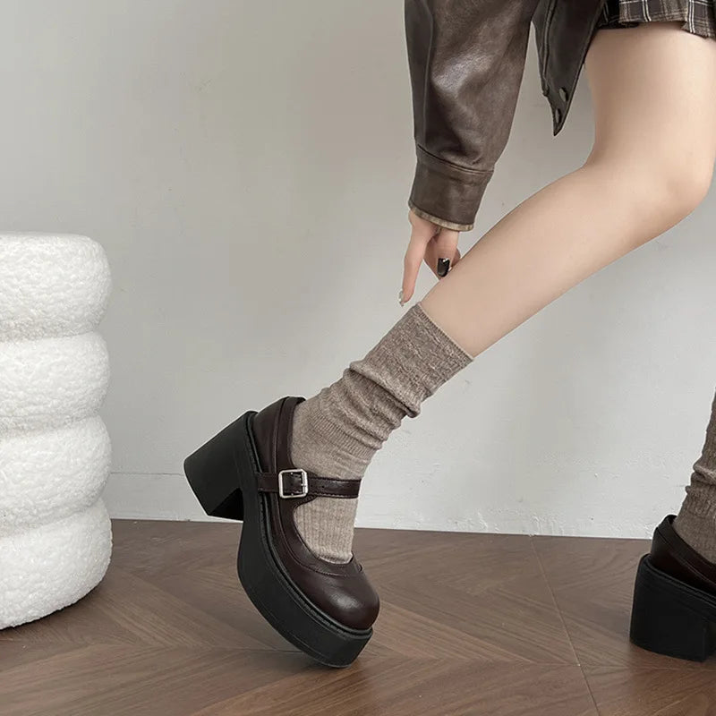 Vintage Platform Thick Bottom Mary Jane Shoes Shallow Round Toe Shoes Elegant Party Leather Shoes