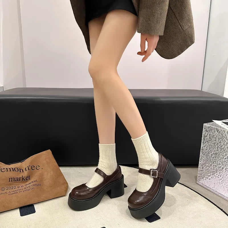 Vintage Platform Thick Bottom Mary Jane Shoes Shallow Round Toe Shoes Elegant Party Leather Shoes