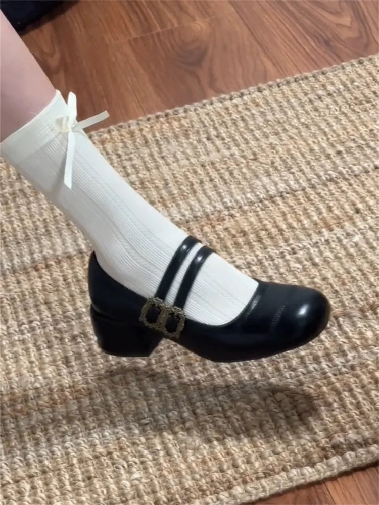 Thick Heel Mary Jane Shoes Metal Buckle Strap Shoes Outdoor Slip On Elegant Dress Pumps