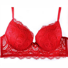 Bra Set Push up Bras Cup Embroidery Flowers Bras and Panties