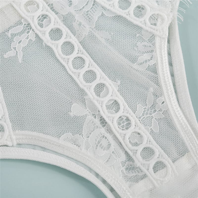 Embroidery Mesh Lace Bra Three Piece Set
