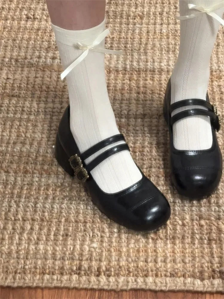 Thick Heel Mary Jane Shoes Metal Buckle Strap Shoes Outdoor Slip On Elegant Dress Pumps