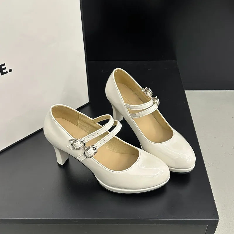 Thick Heel Mary Jane Shoes Concise Shallow Belt Buckle Shoes Outdoor Elegant Dress Dancing Pumps