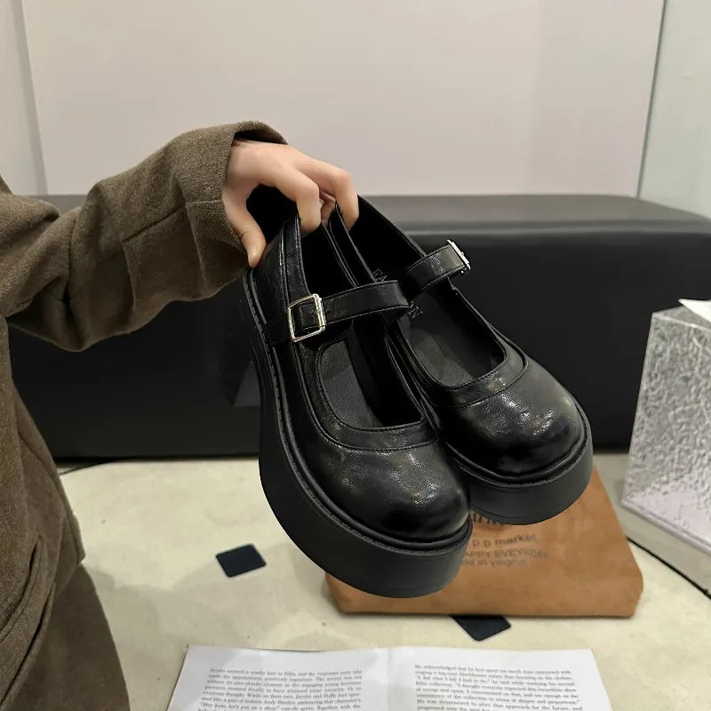 Vintage Platform Thick Bottom Mary Jane Shoes Shallow Round Toe Shoes Elegant Party Leather Shoes