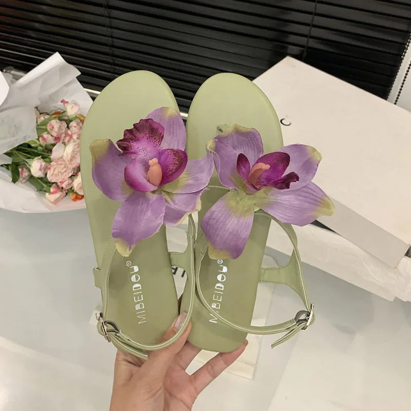 Flats Sandals Shoes
