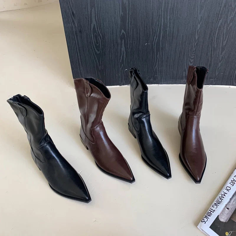 Black Pointed Toe Boots Woman Chunky Shoes Fall High Heels Brown Ankle Boots Back Zipper Shoes