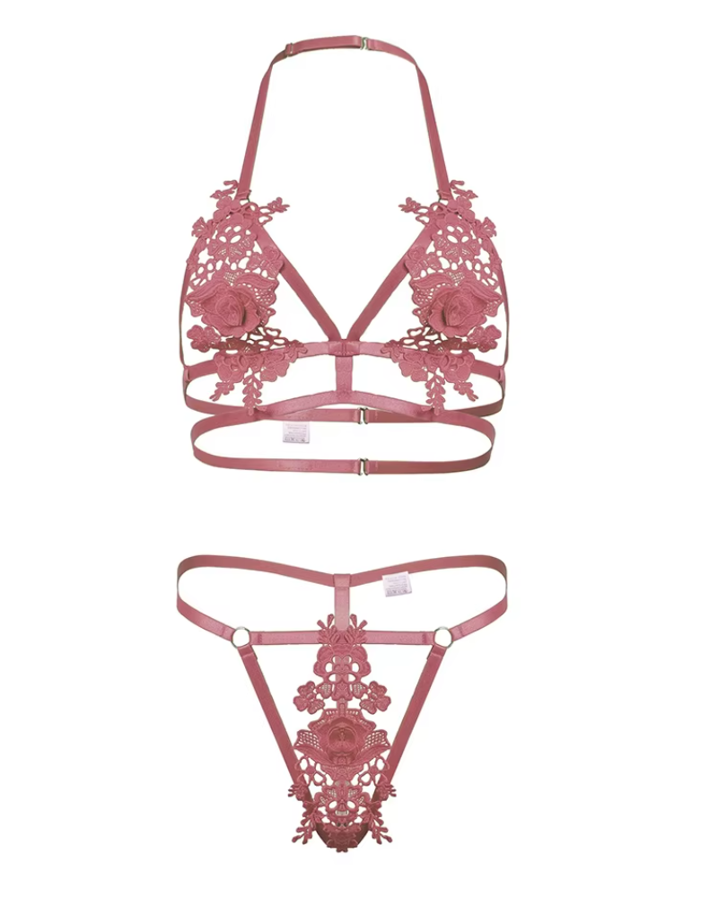 Fancy Embroidery Erotic Beautiful Intimate Outfits  Bra Set