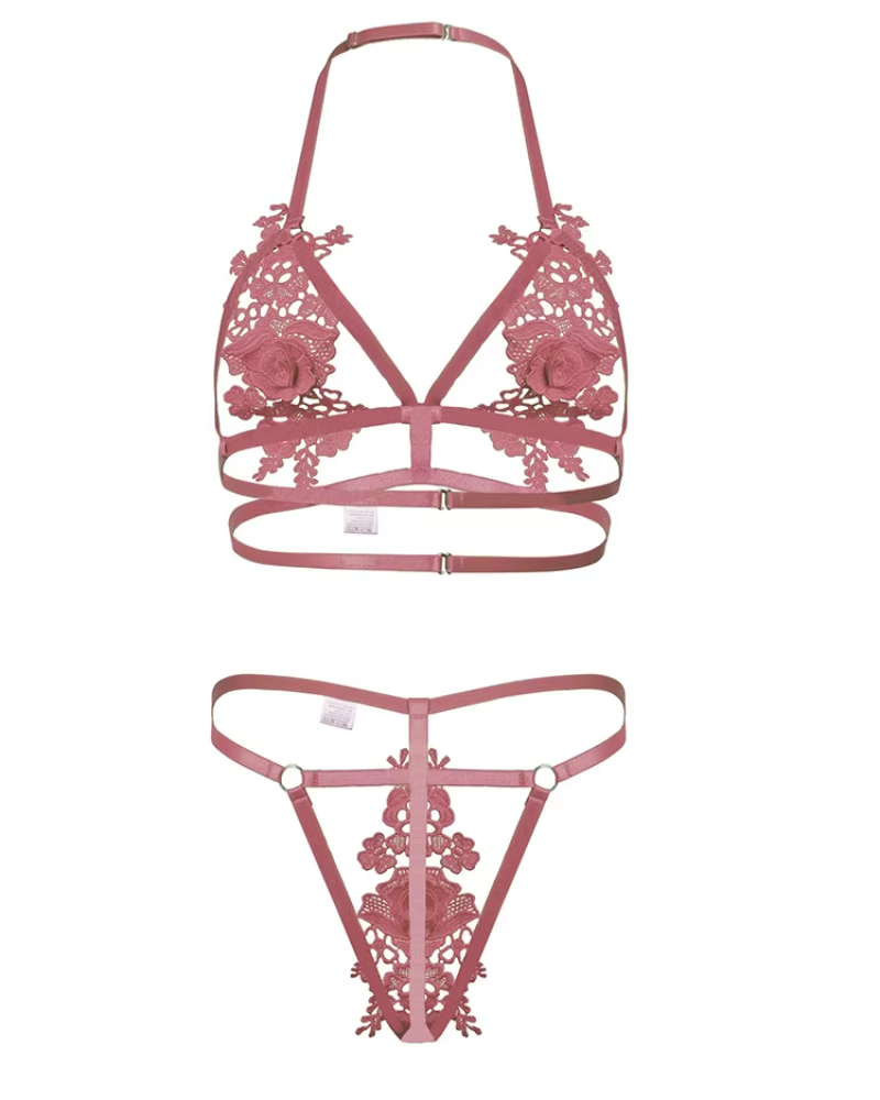 Fancy Embroidery Erotic Beautiful Intimate Outfits  Bra Set
