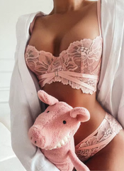 Lace Embroidery Ultra Thin Underwear Breathable Push Up Bra Panties Sets